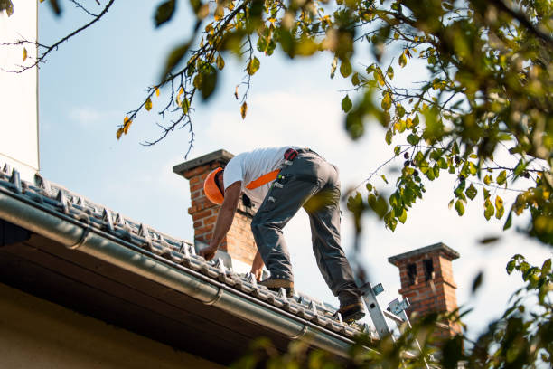 Best Residential Roofing Contractor  in Evergreen, MT