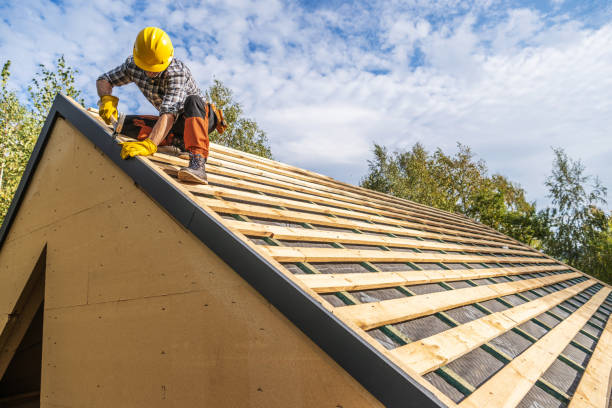 Best Affordable Roof Replacement  in Evergreen, MT